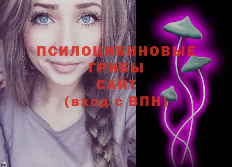 Галлюциногенные грибы Cubensis  Чистополь 